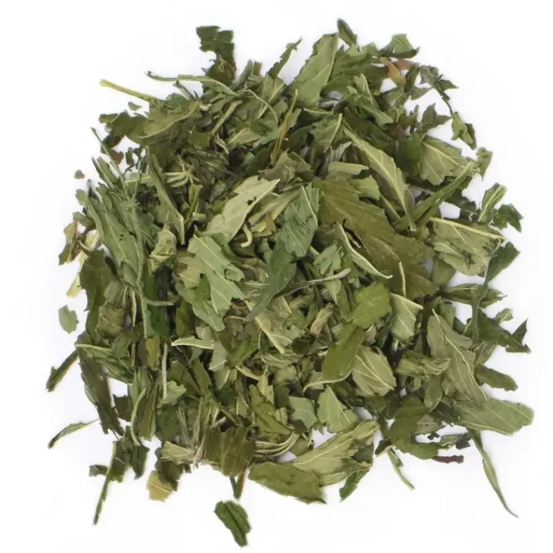 Fraicheur Cosmique - chanvre & menthe BIO*terre d'Oc Flash Sale