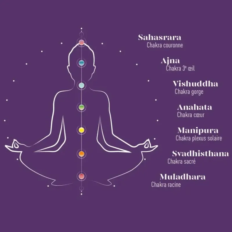 Infusion ayurvedique bio Chakra couronne - epices & the vert*terre d'Oc Online