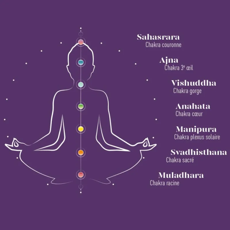 Infusion ayurvedique bio Chakra sacre - Cannelle & ecorces d'orange*terre d'Oc Cheap