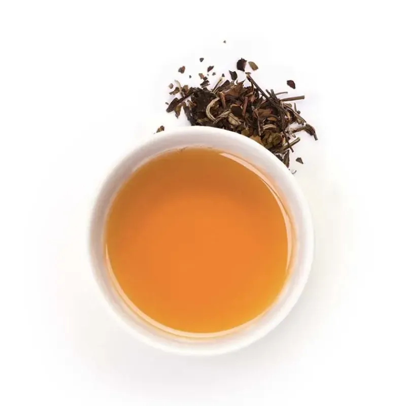 The blanc bio peche abricot - en sachets*terre d'Oc Sale
