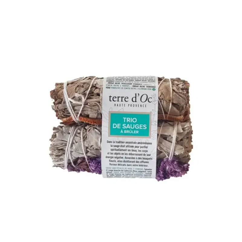 Trio de sauges fleuries - a bruler*terre d'Oc Clearance